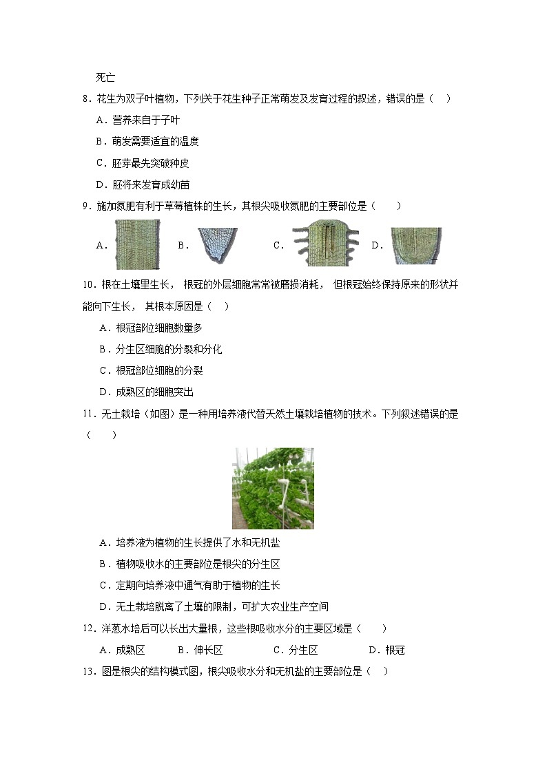 【期中单元测试卷】（人教版）2023-2024学年七年级生物上册 第二章 被子植物的一生【基础卷】（原卷版）第3页