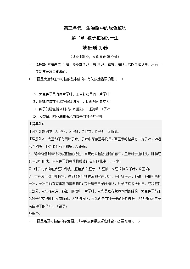 【期中单元测试卷】（人教版）2023-2024学年七年级生物上册 第二章 被子植物的一生【基础卷】（解析版）第1页
