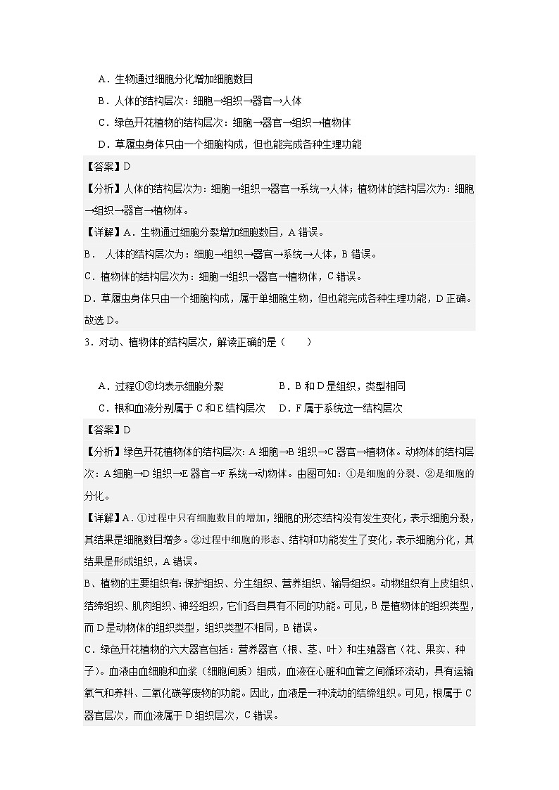 【期中单元测试卷】（人教版）2023-2024学年七年级生物上册 第二章 细胞怎样构成生物体【单元测试·基础卷】02