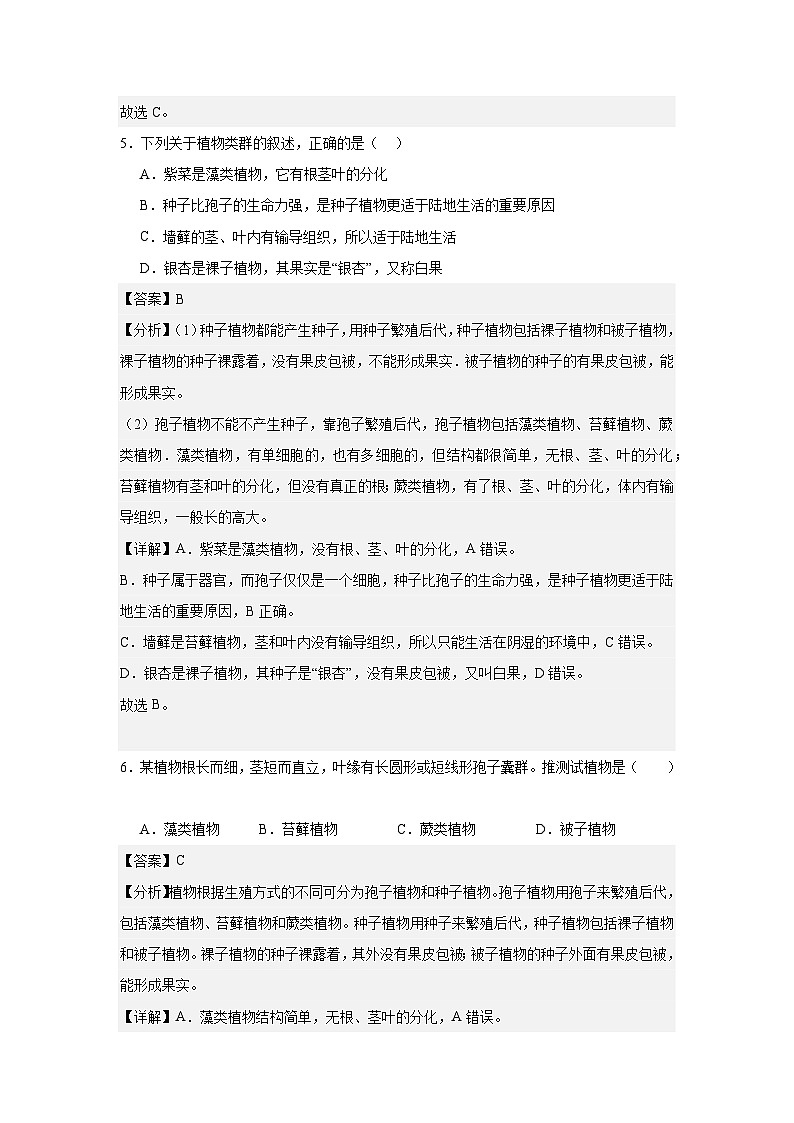 【期中单元测试卷】（人教版）2023-2024学年七年级生物上册 第一章 生物圈中有哪些绿色植物【单元测试·基础卷】03