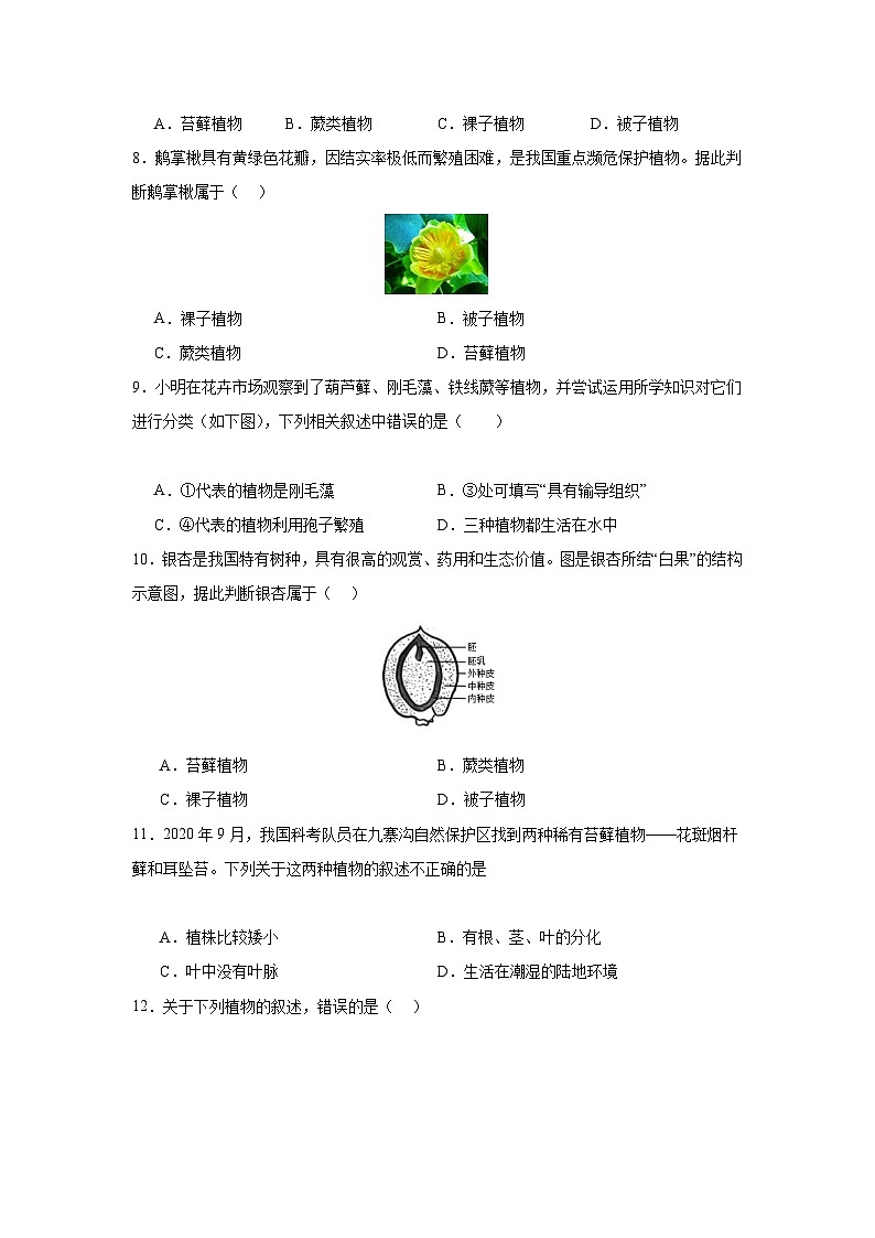 【期中单元测试卷】（人教版）2023-2024学年七年级生物上册 第一章 生物圈中有哪些绿色植物【单元测试·提升卷】02