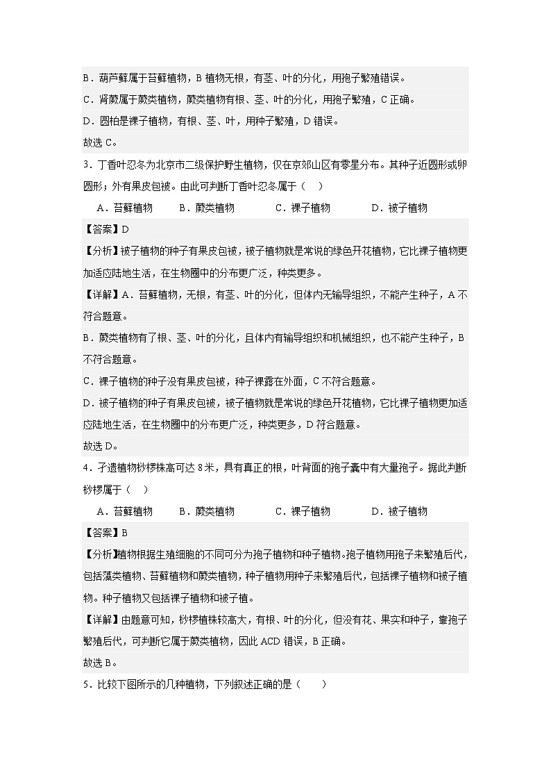 【期中单元测试卷】（人教版）2023-2024学年七年级生物上册 第一章 生物圈中有哪些绿色植物【单元测试·提升卷】02