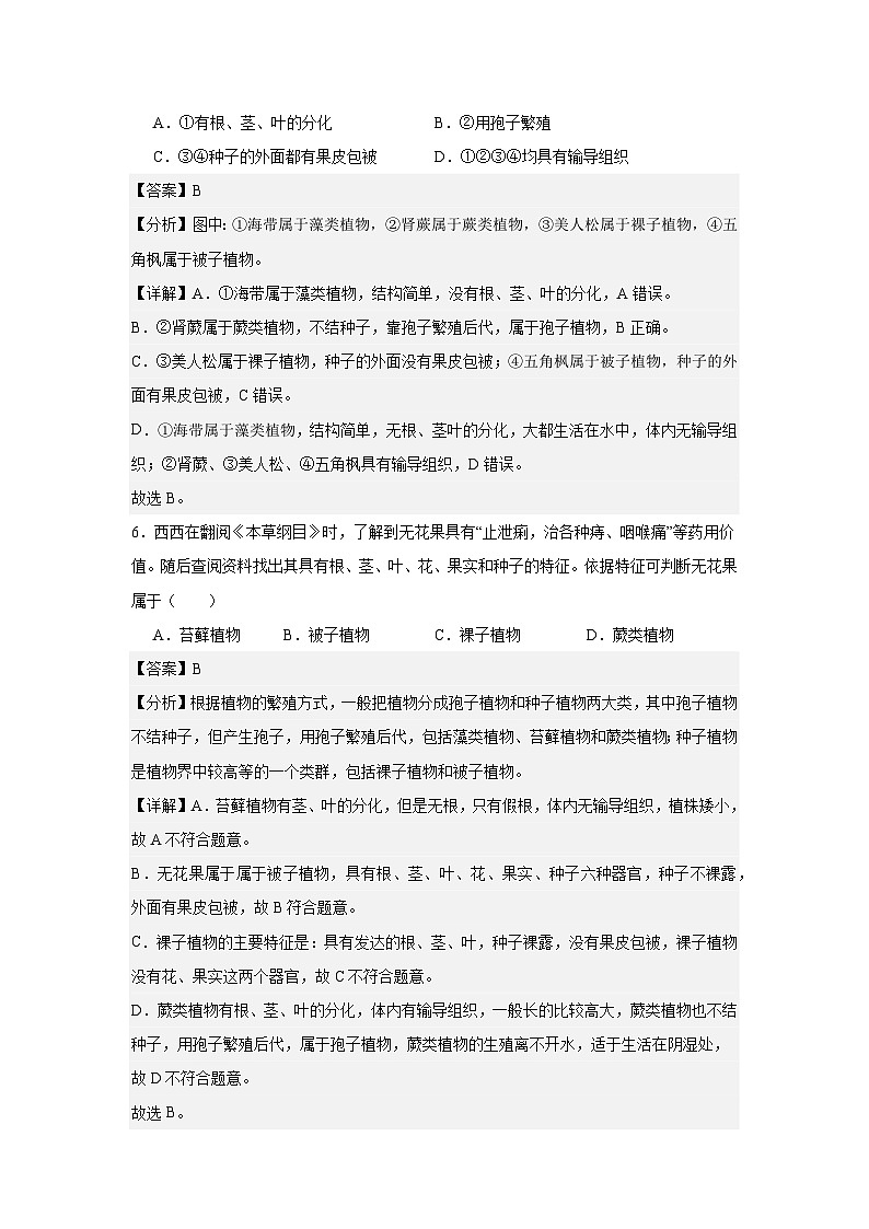 【期中单元测试卷】（人教版）2023-2024学年七年级生物上册 第一章 生物圈中有哪些绿色植物【单元测试·提升卷】03