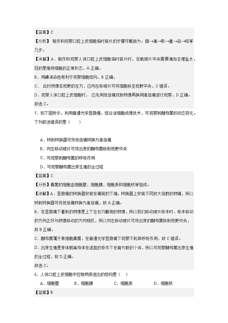 【期中单元测试卷】（人教版）2023-2024学年七年级生物上册 第一章 细胞是生命活动的基本单位【单元测试·提升卷】03