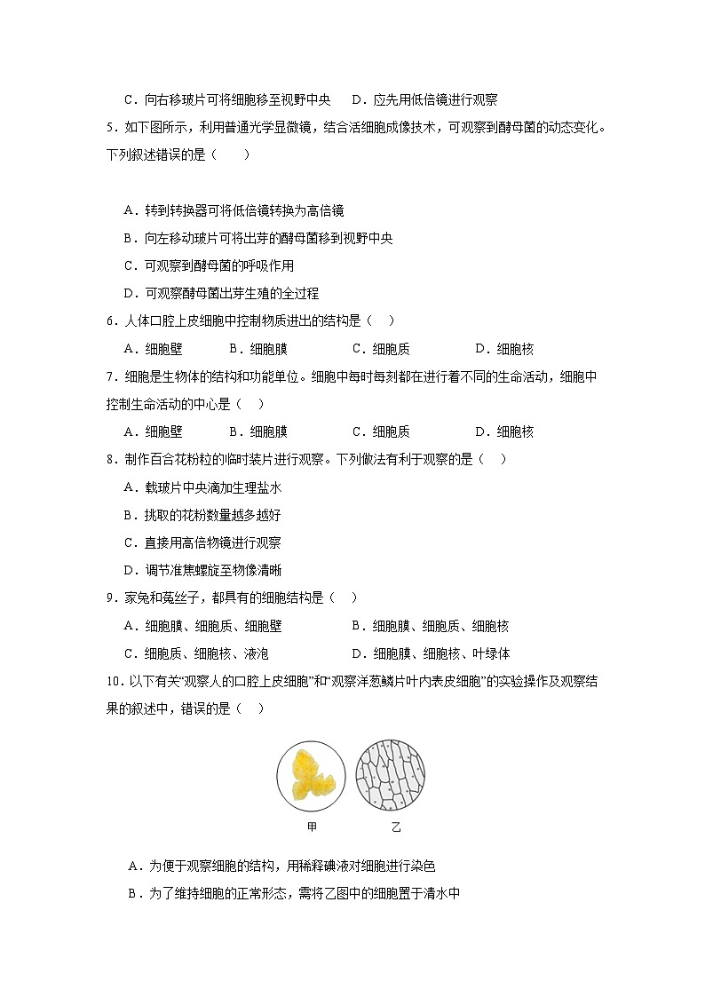【期中单元测试卷】（人教版）2023-2024学年七年级生物上册 第一章 细胞是生命活动的基本单位【单元测试·提升卷】02