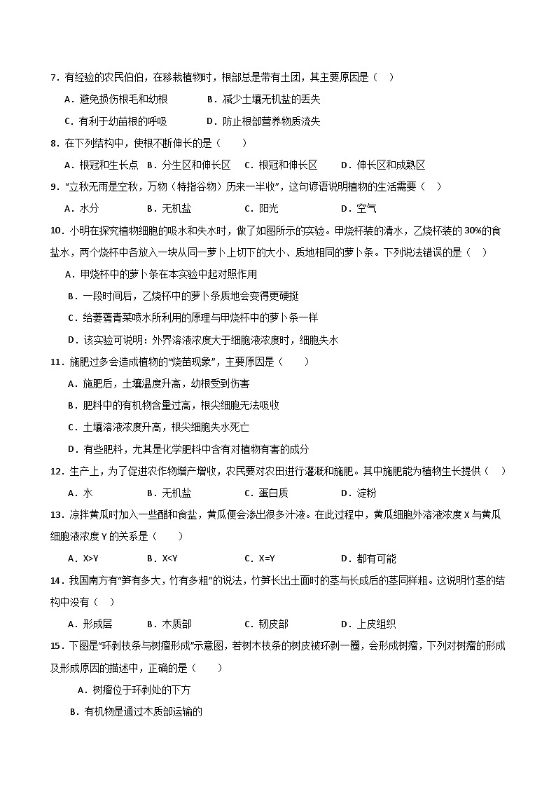 【期中单元测试卷】（苏教版）2023-2024学年七年级生物上册 第五章 绿色植物的一生【单元测试卷】（原卷版）第2页