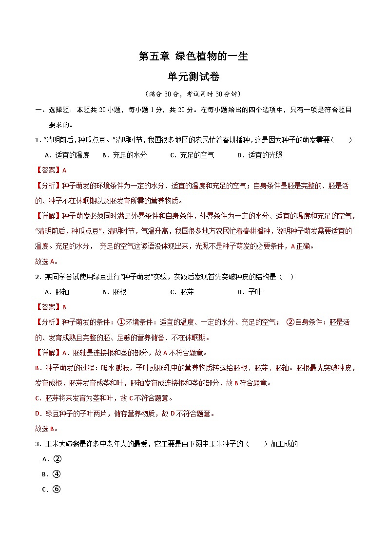 【期中单元测试卷】（苏教版）2023-2024学年七年级生物上册 第五章 绿色植物的一生【单元测试卷】（解析版）第1页