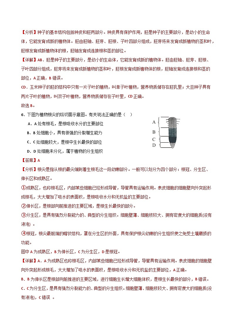 【期中单元测试卷】（苏教版）2023-2024学年七年级生物上册 第五章 绿色植物的一生【单元测试卷】（解析版）第3页