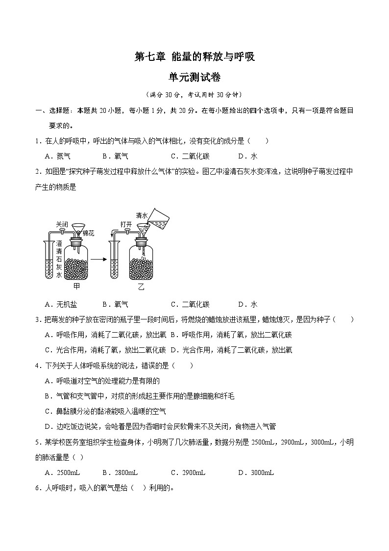 【期中单元测试卷】（苏科版）2023-2024学年七年级生物上册 第七章+能量的释放与呼吸 单元测试卷01