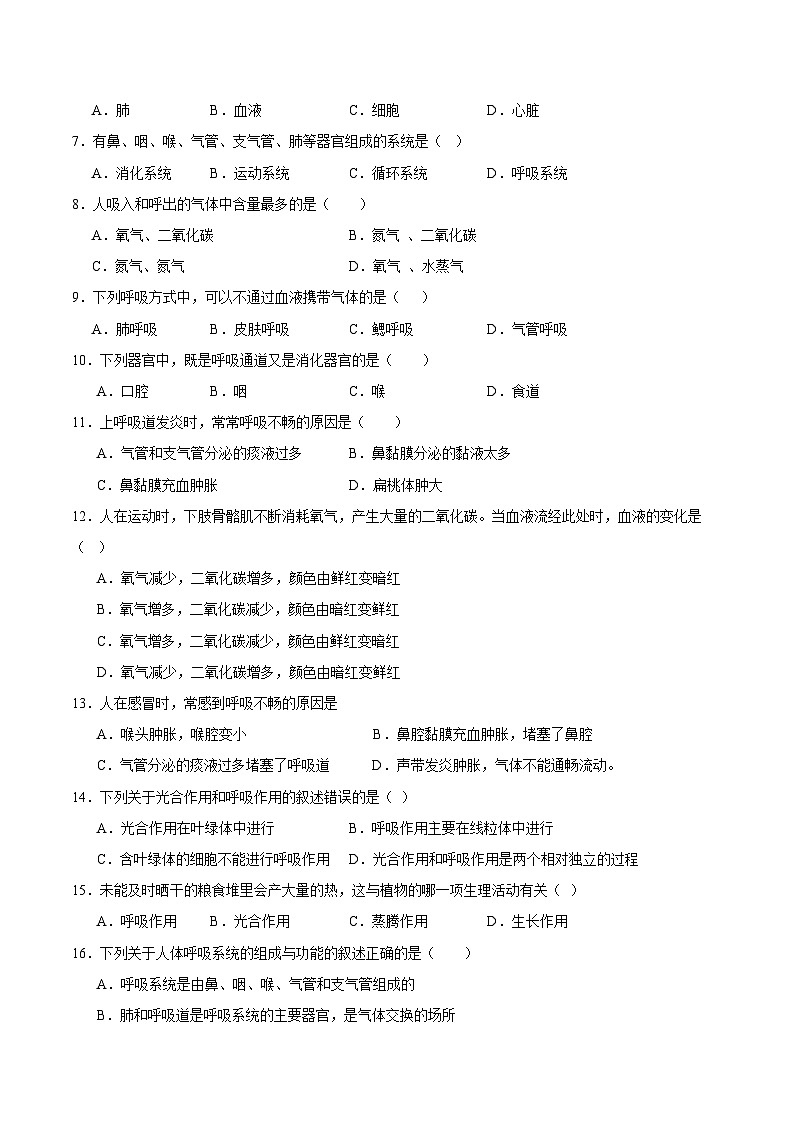 【期中单元测试卷】（苏科版）2023-2024学年七年级生物上册 第七章+能量的释放与呼吸 单元测试卷02