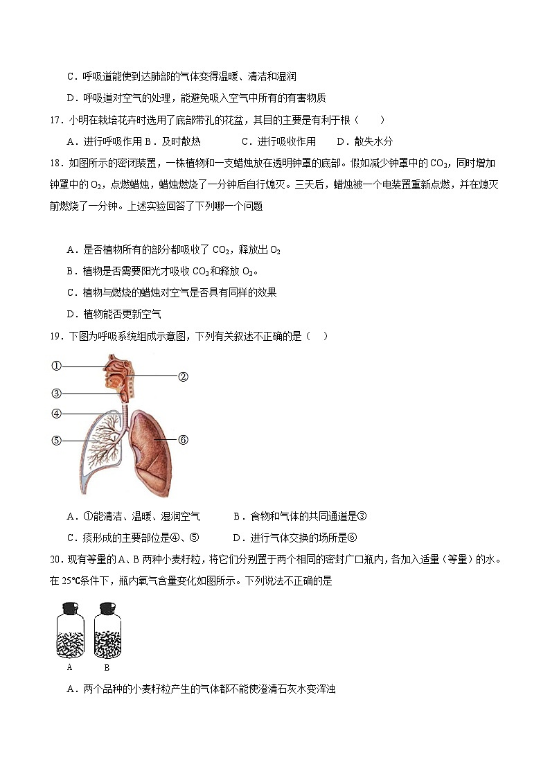 【期中单元测试卷】（苏科版）2023-2024学年七年级生物上册 第七章+能量的释放与呼吸 单元测试卷03
