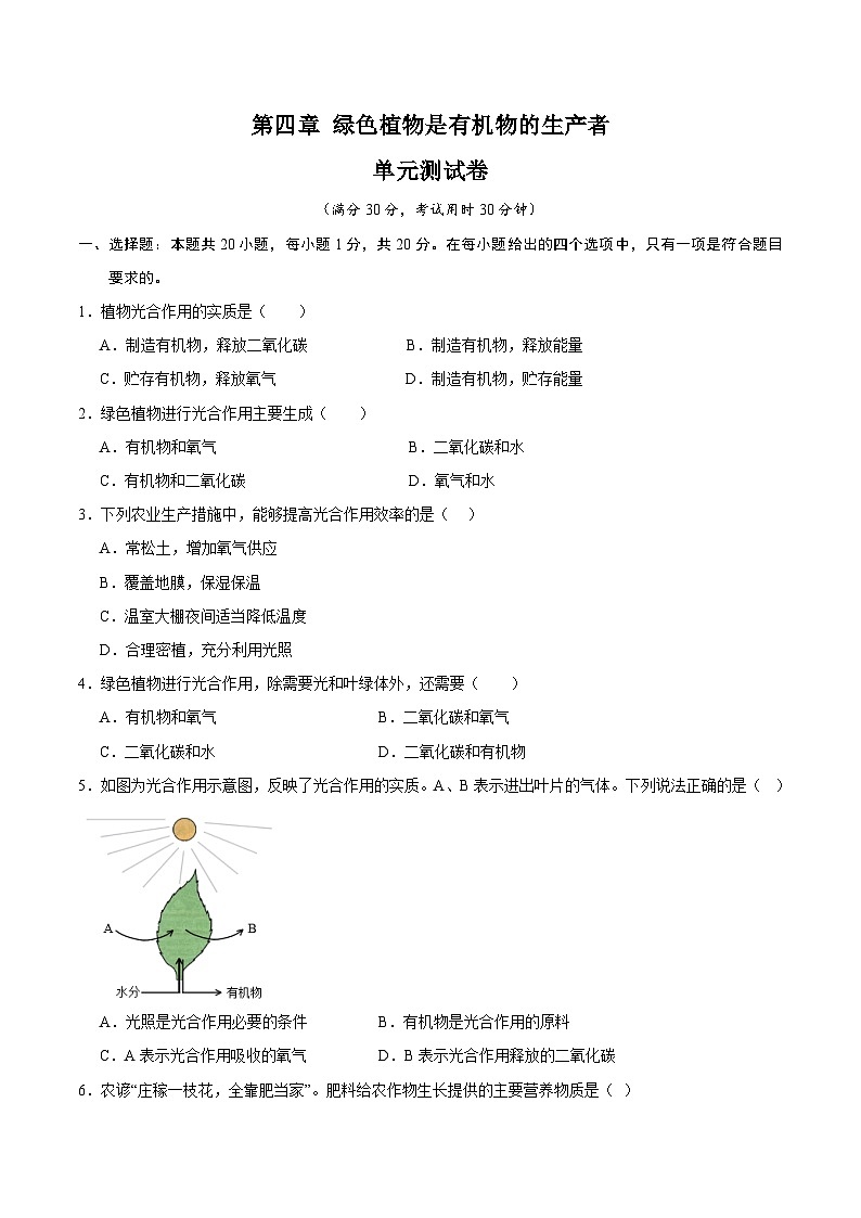 【期中单元测试卷】（苏科版）2023-2024学年七年级生物上册 第四章+绿色植物是有机物的生产者 单元测试卷01