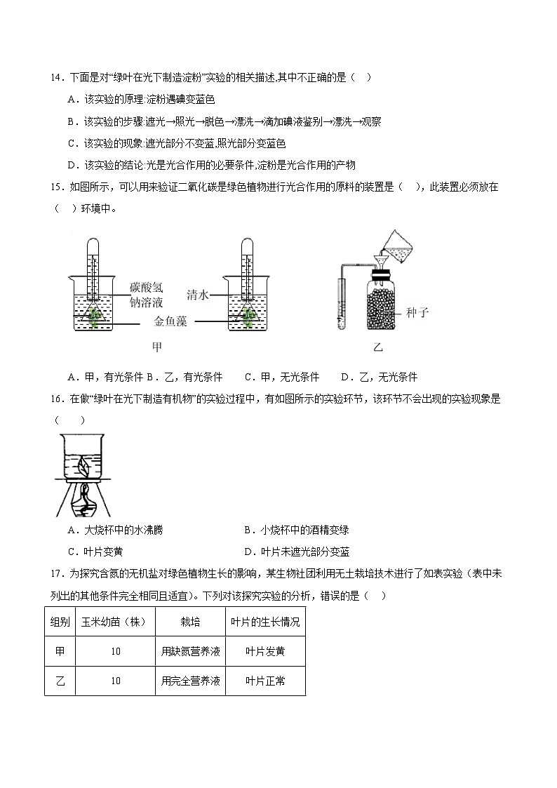 【期中单元测试卷】（苏科版）2023-2024学年七年级生物上册 第四章+绿色植物是有机物的生产者 单元测试卷03