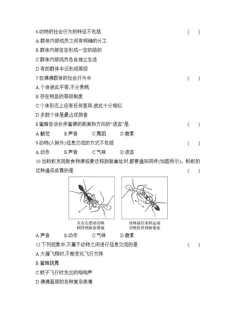 5.2.3  社会行为  同步作业-人教版生物八年级上册02