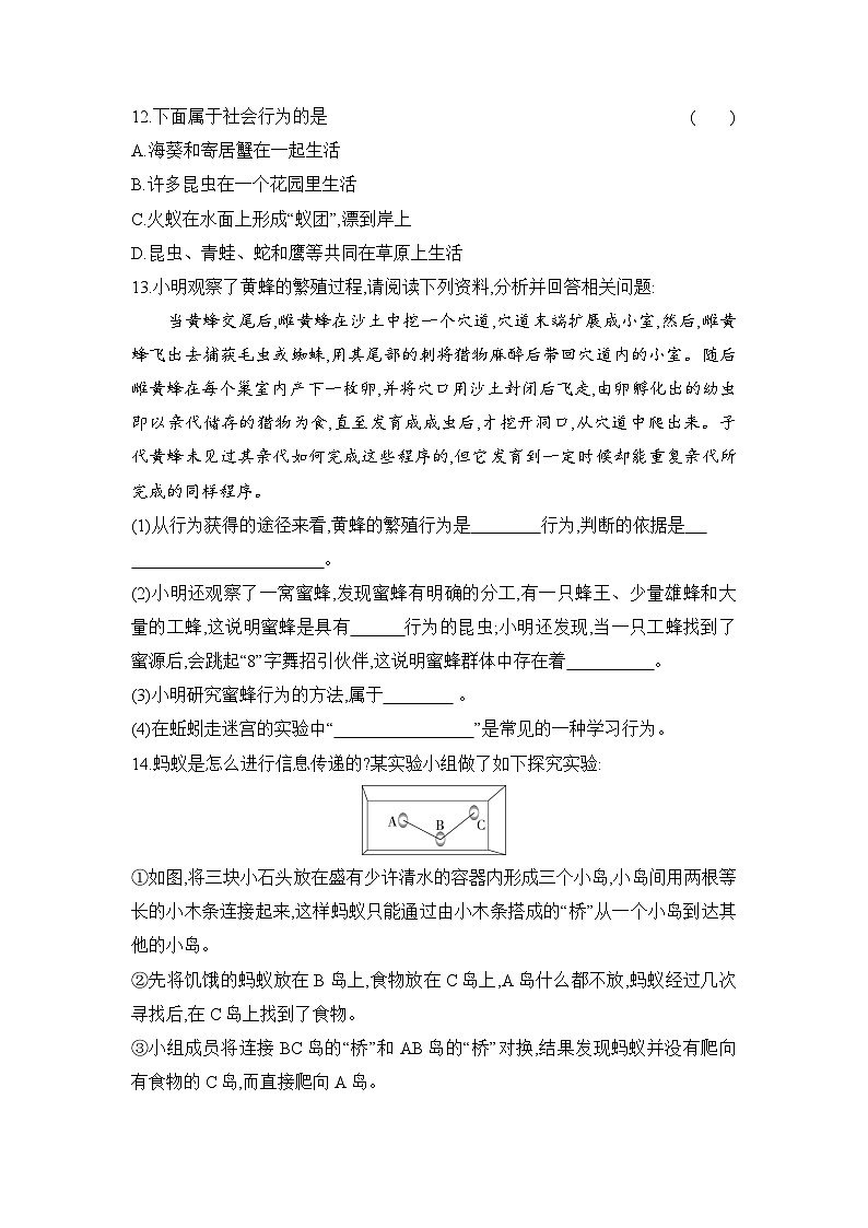 5.2.3  社会行为  同步作业-人教版生物八年级上册03