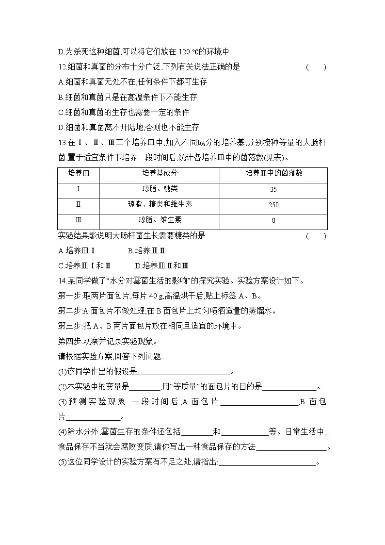 5.4.1  细菌和真菌的分布  同步作业-人教版生物八年级上册03