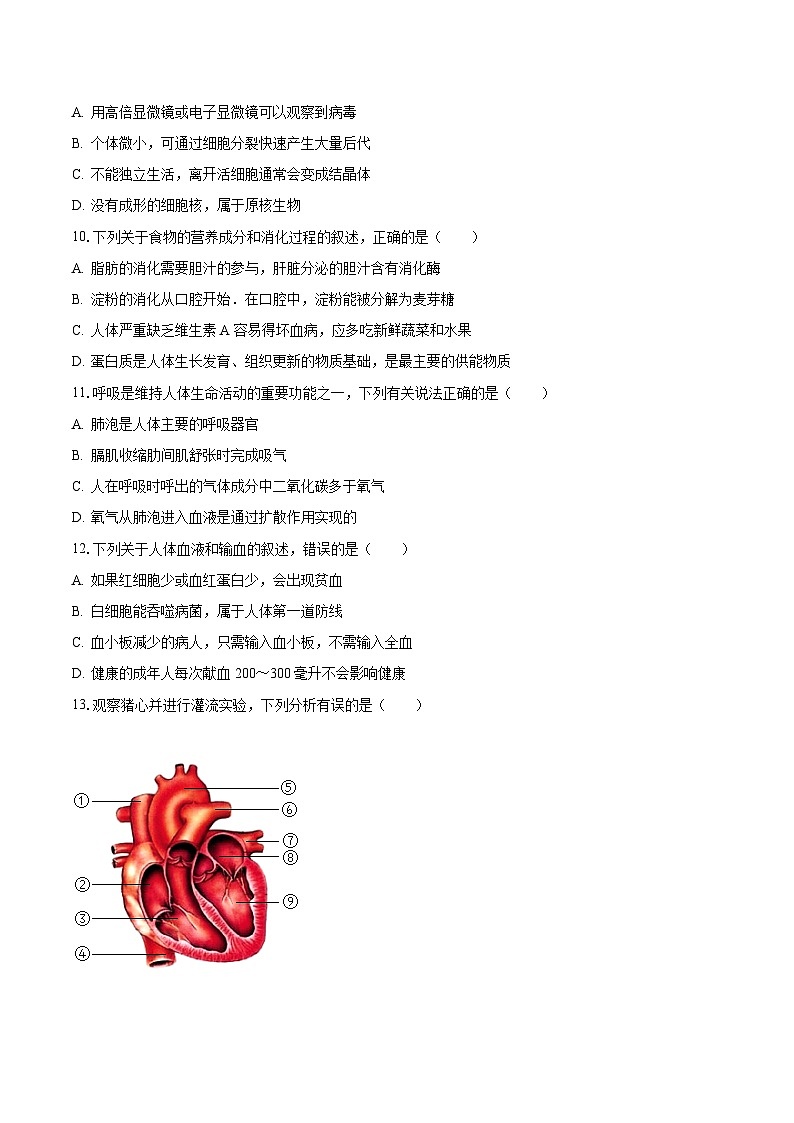 山东省德州市禹城市伦镇中学2022-2023学年九年级上学期期末生物试卷03