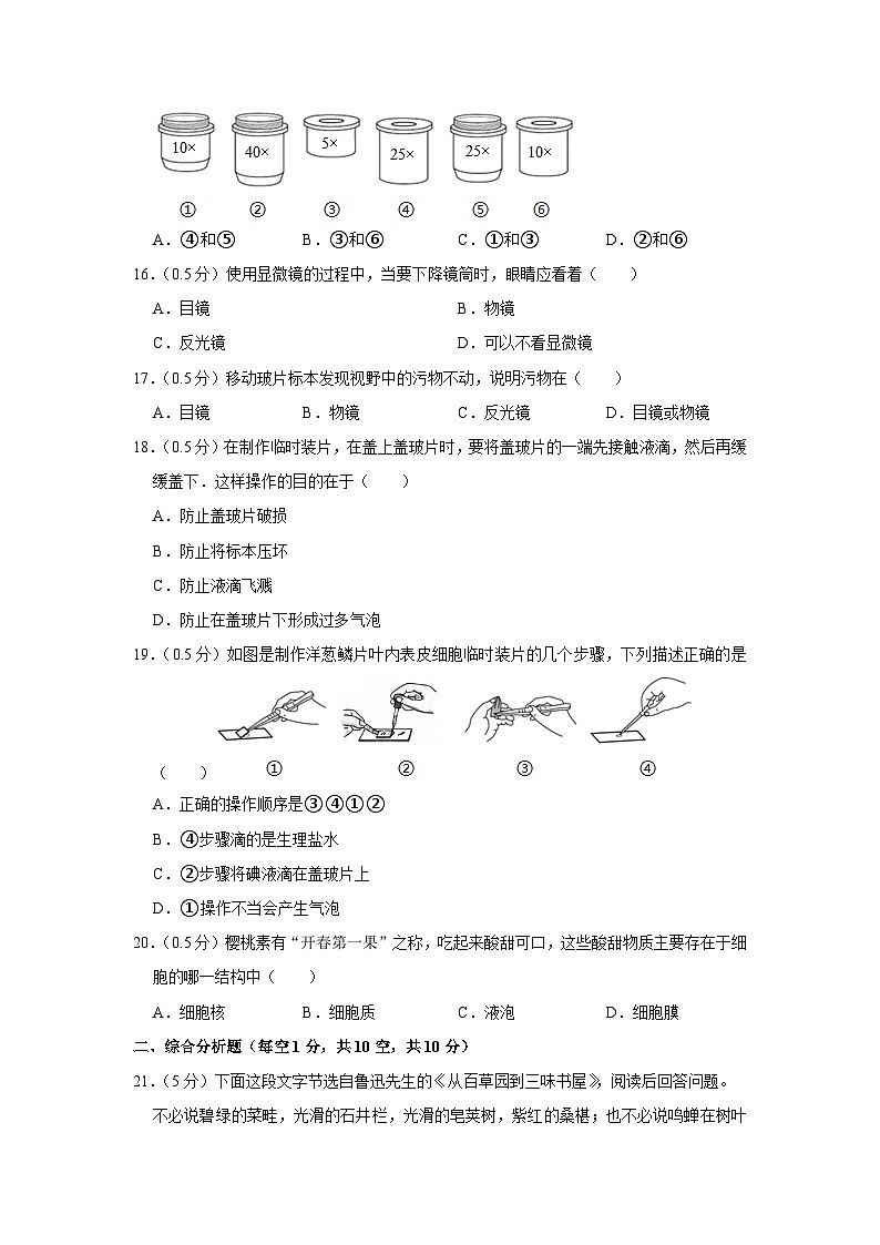 江苏省盐城市滨海县滨淮初中教育集团2023-2024学年七年级上学期第一次月考生物试卷+03