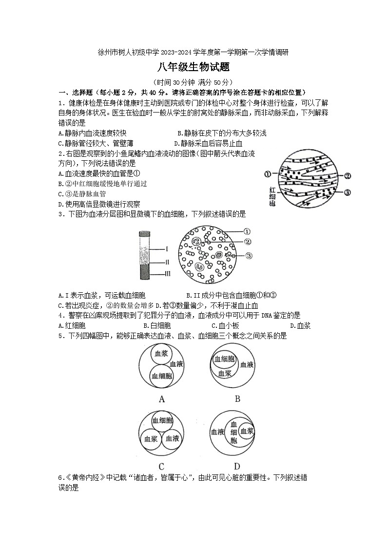 江苏省徐州市树人初级中学2023-2024学年八年级上学期第一次月考生物试卷第1页