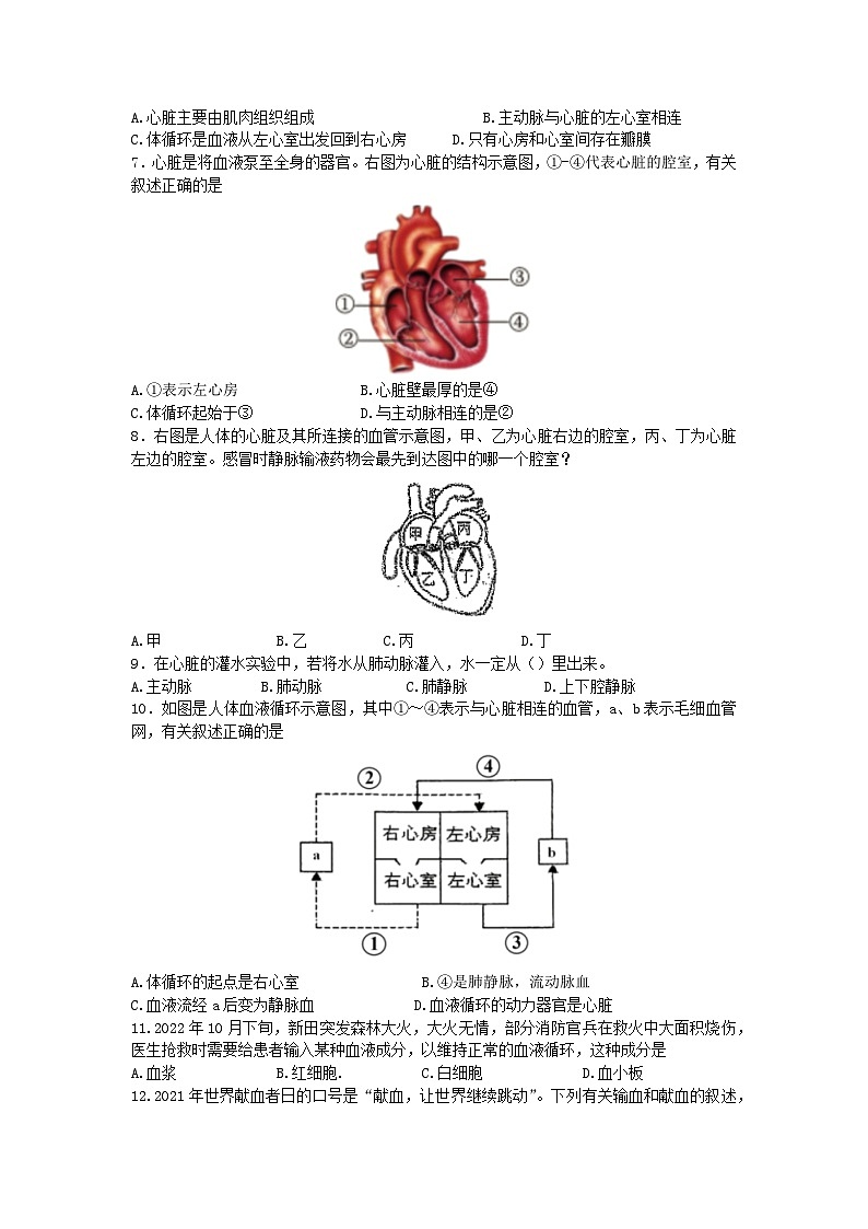 江苏省徐州市树人初级中学2023-2024学年八年级上学期第一次月考生物试卷第2页