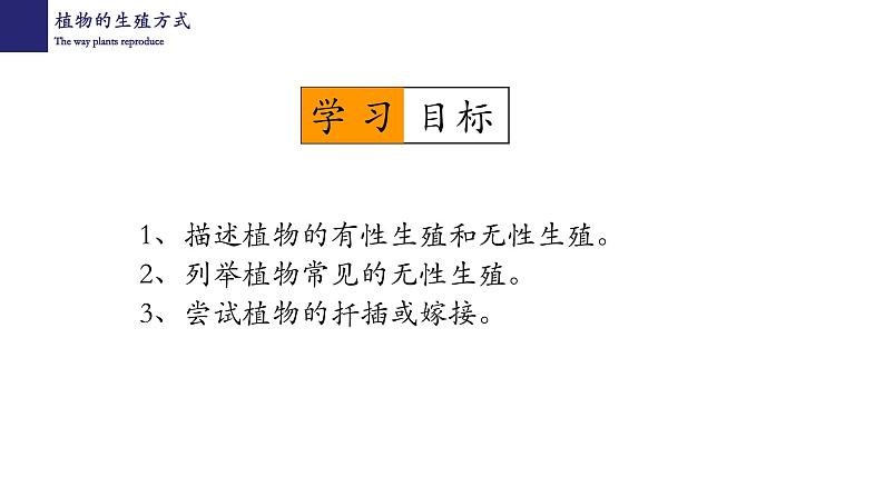 19.3植物的生殖和发育-【精华备课】2023-2024学年八年级生物上册同步教学课件（北师大版）02