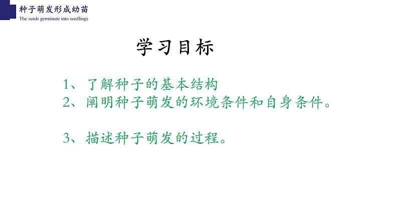 3.6.1+种子萌发形成幼苗-【精华备课】2023-2024学年七年级生物上册同步教学课件（北师大版）02