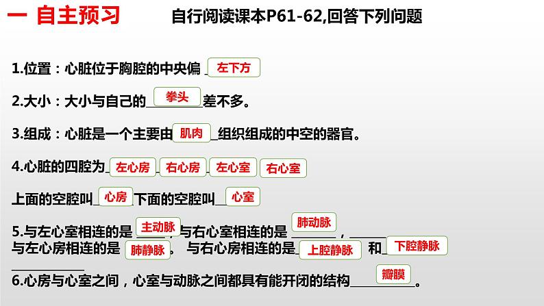 输送血液的泵—心脏PPT03