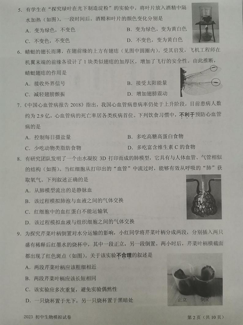 江苏省南通市海门区2023-2024学年九年级上学期10月月考生物试题02