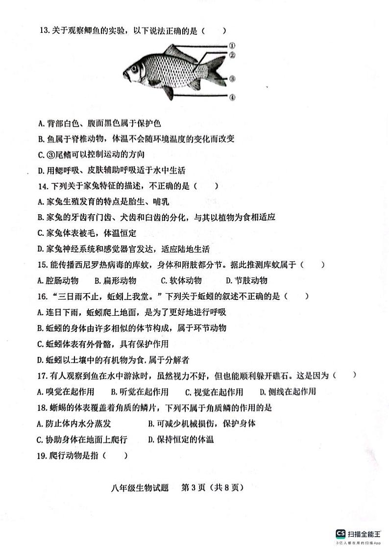 山东省聊城市十八校联考2023-2024学年八年级上学期10月月考生物试题第3页