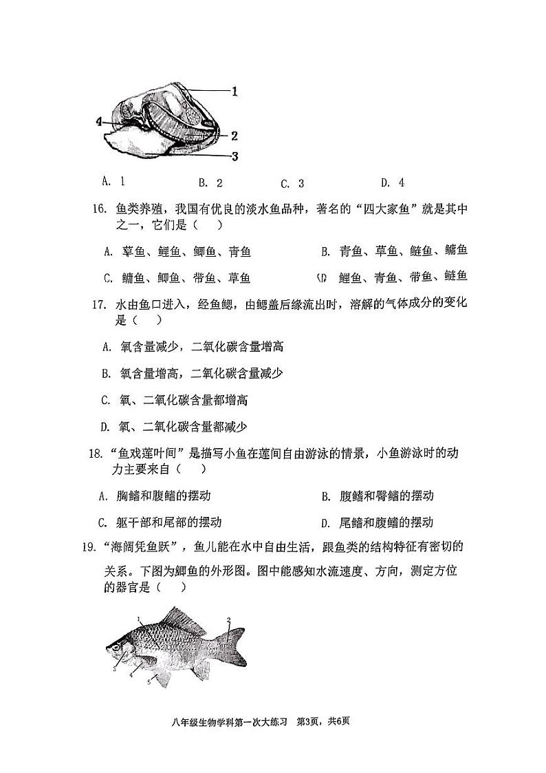 陕西省西安市远东第二中学2023-2024学年八年级上学期第一次月考生物试题第3页