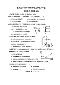 山东省德州市第五中学2023-2024学年八年级上学期10月月考生物试题