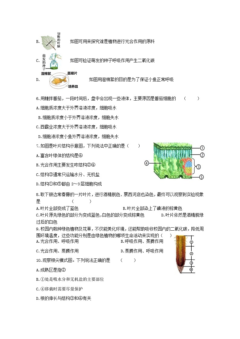 江苏省南通市启东市长江中学2023-2024学年八年级上学期10月月考生物试题第2页