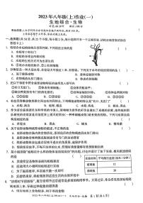 湖南省娄底市双峰县2023-2024学年八年级上学期10月月考生物试题