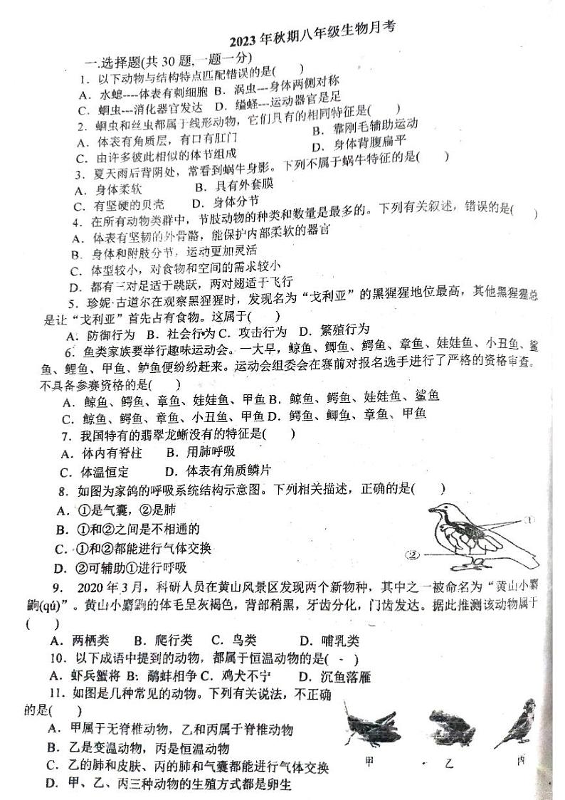 河南省南阳市卧龙区两完全学校2023-2024学年八年级上学期10月月考生物试题01