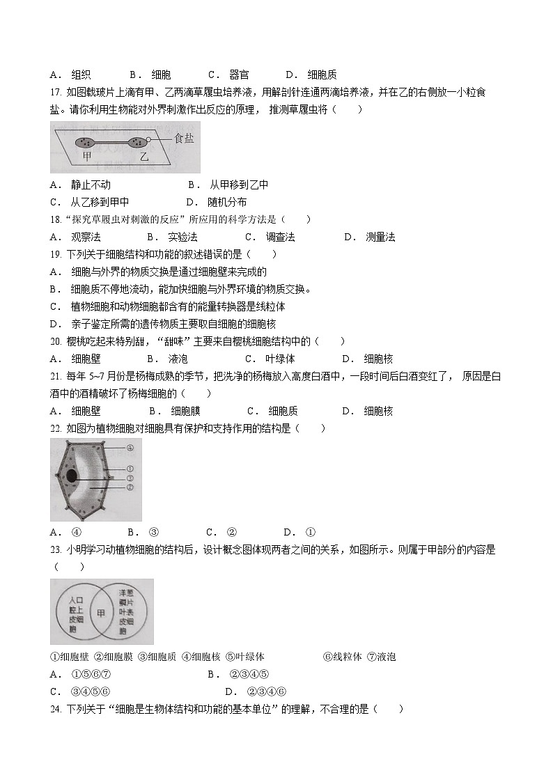 山东省济宁市金乡县2023-2024学年七年级上学期10月月考生物试题第3页
