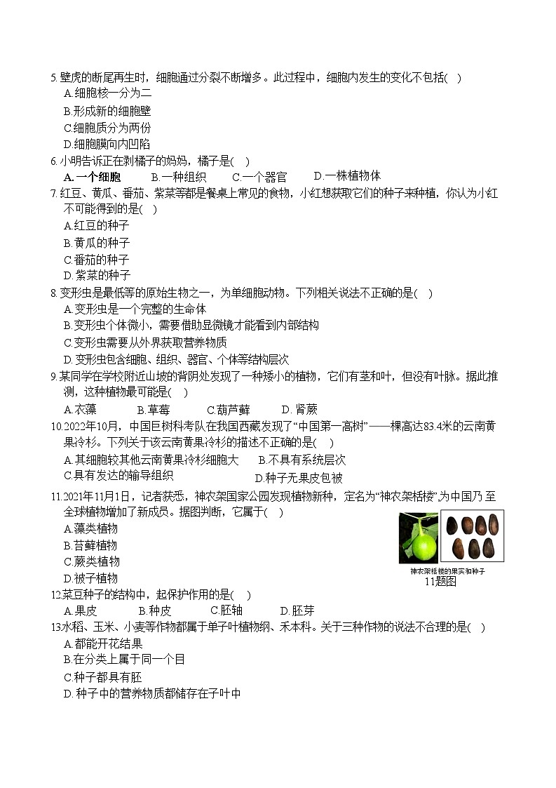 河北省张家口市蔚县2022-2023上期七年级生物期末试卷附答案第2页