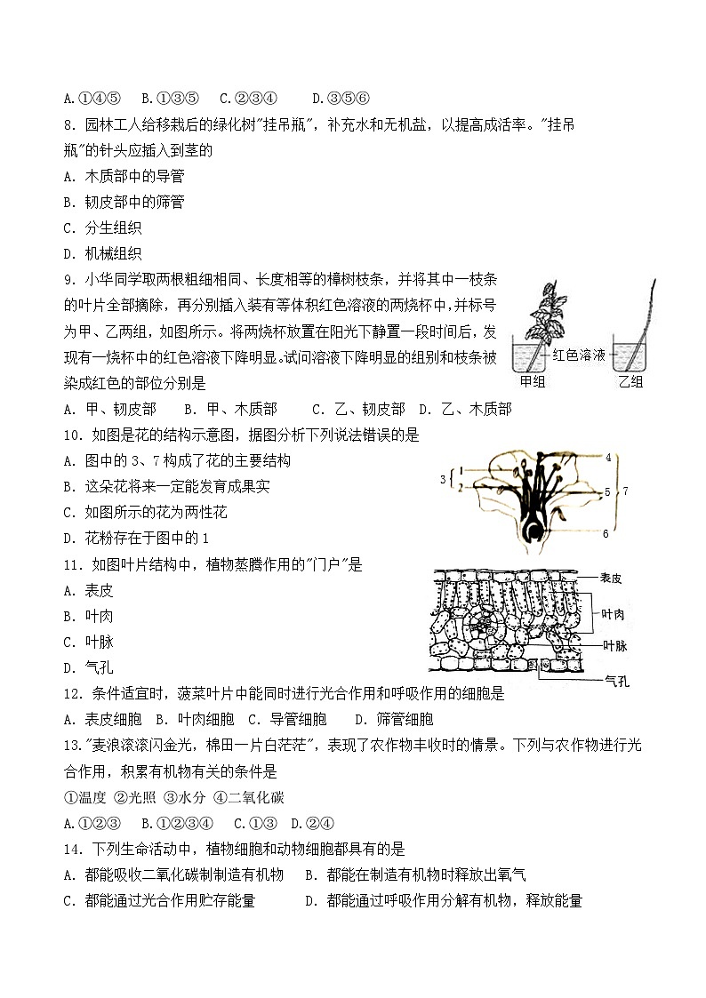 河南省洛阳市栾川县2022-2023上期七年级生物期末试卷第2页