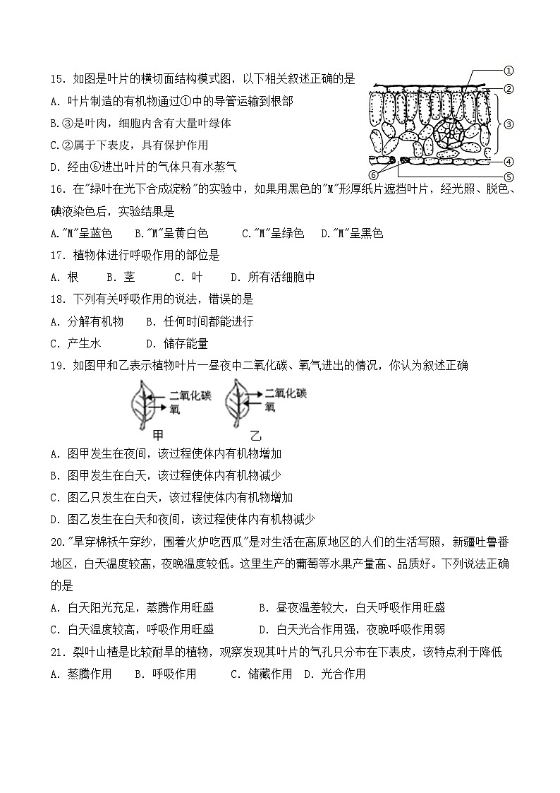 河南省洛阳市栾川县2022-2023上期七年级生物期末试卷第3页