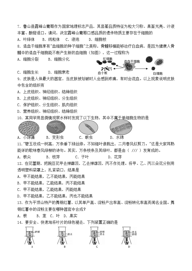 河南省平顶山市舞钢市2022-2023上期七年级生物期末试卷第2页