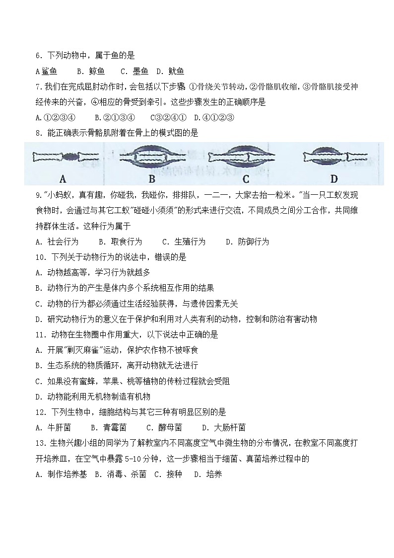 河南省焦作市博爱县2022-2023上期八年级生物期末试卷第2页