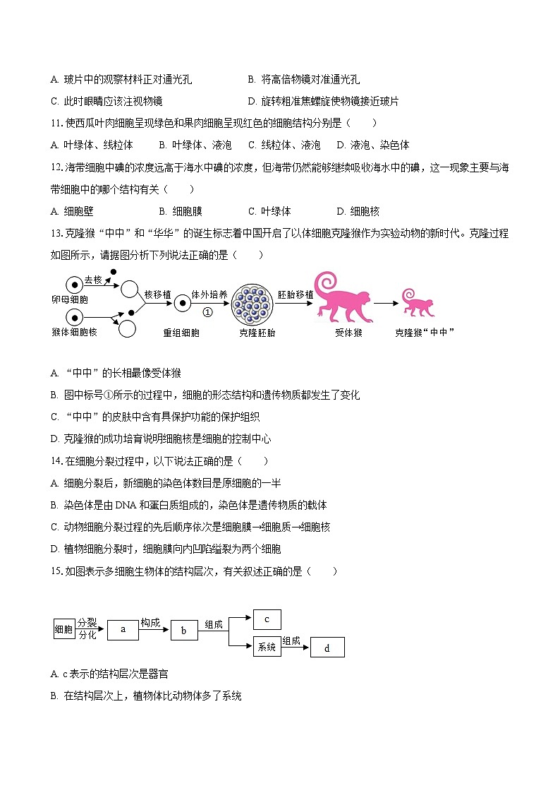 河南省郑州市东枫外国语学校2022-2023学年七年级上学期期末生物试卷第3页