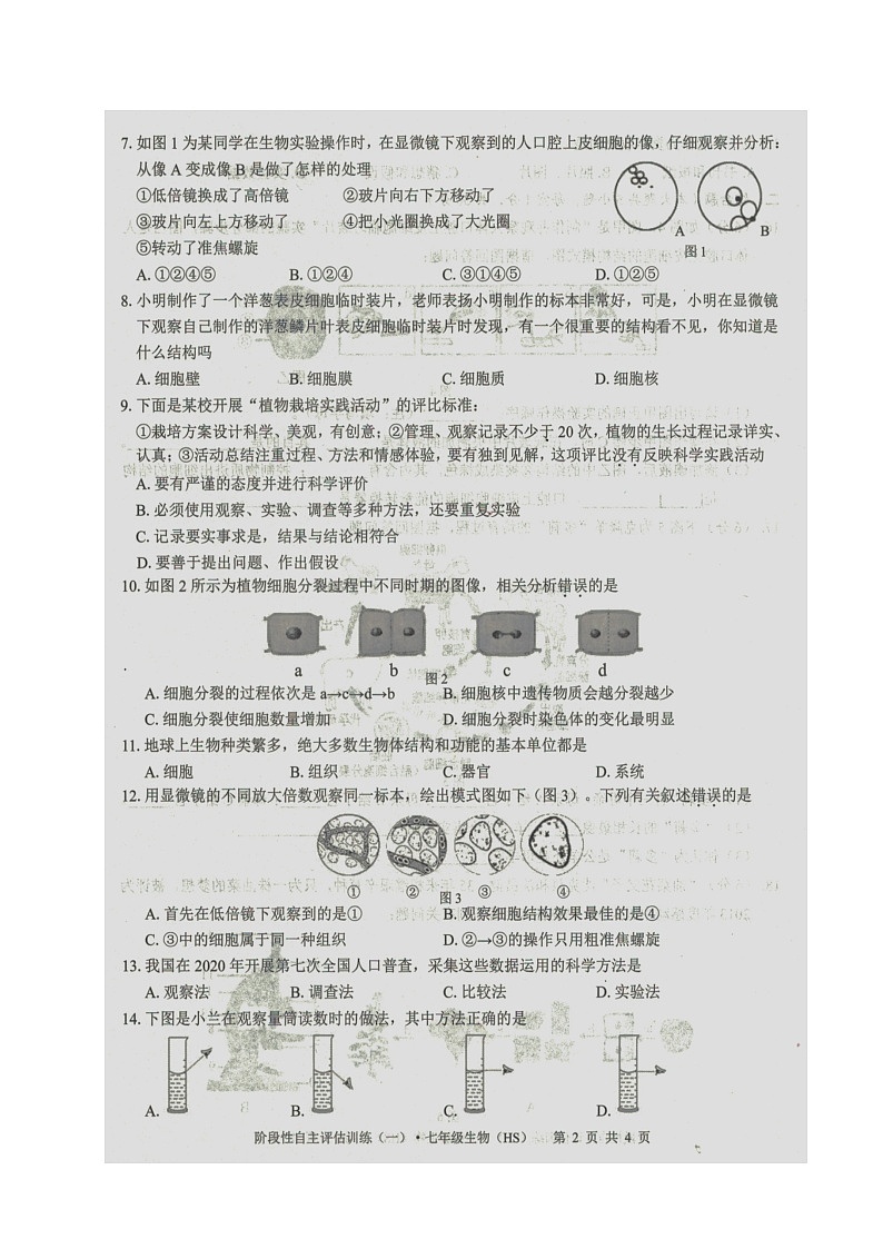 广西壮族自治区来宾市忻城县民族中学2023-2024学年七年级上学期阶段性自主评估训练（一）生物试题（月考）02