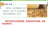 第四章第四节《细菌和真菌在自然界中的作用》课件人教版生物八年级上册