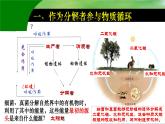 第四章第四节《细菌和真菌在自然界中的作用》课件人教版生物八年级上册