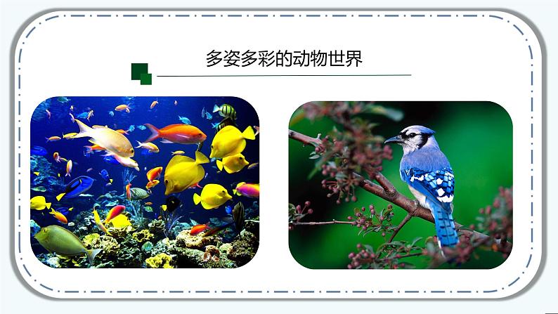 第五单元第三章《动物在生物圈中的作用》课件人教版八年级生物上册02