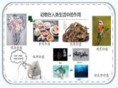 第五单元第三章《动物在生物圈中的作用》课件人教版八年级生物上册