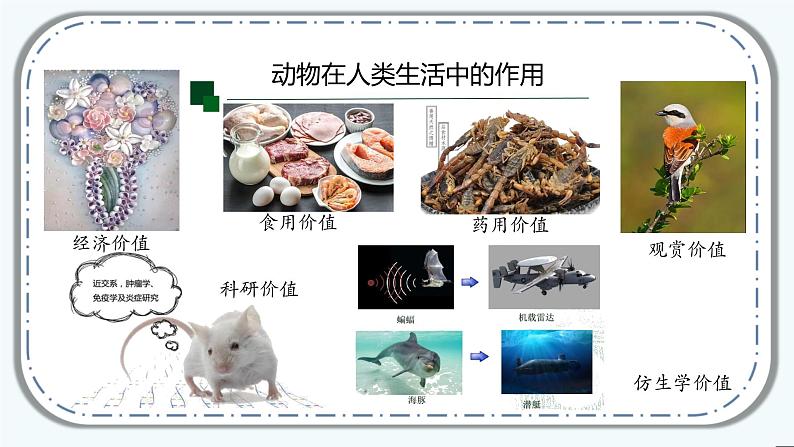 第五单元第三章《动物在生物圈中的作用》课件人教版八年级生物上册04