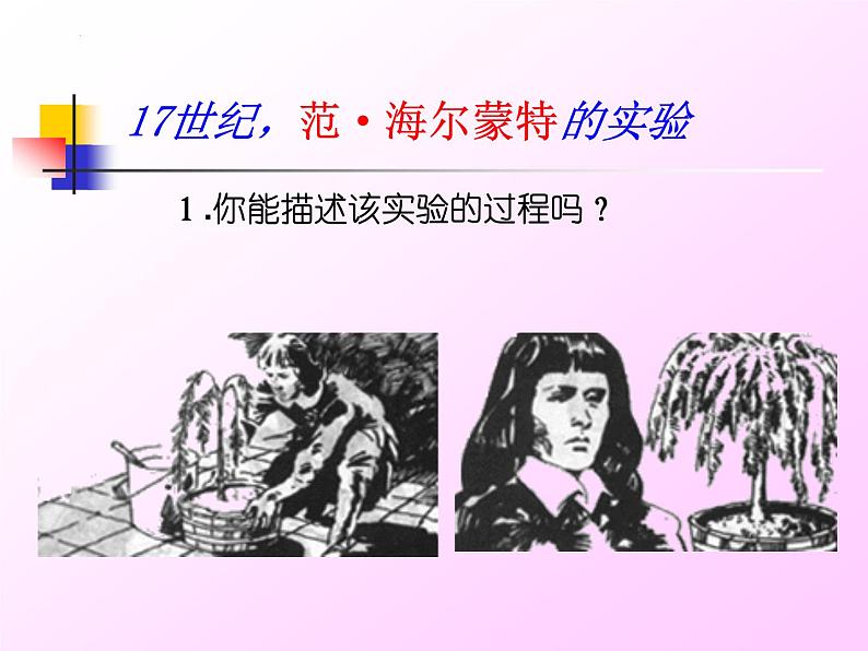 第五章第一节《光合作用》课件北师大版七年级上册生物第5页