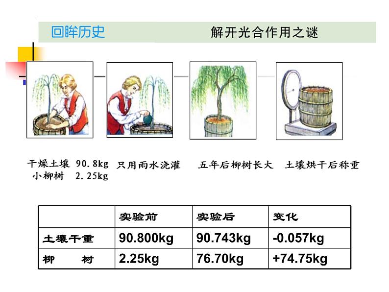 第五章第一节《光合作用》课件北师大版七年级上册生物第6页