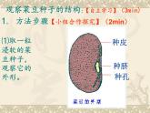 第三单元第二节《种子植物》课件人教版生物七年级上册